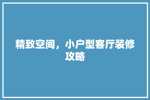 精致空间，小户型客厅装修攻略