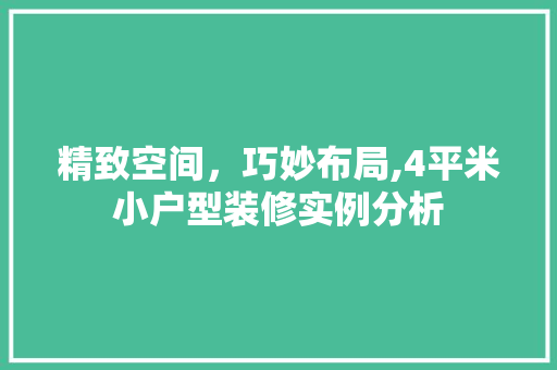 精致空间，巧妙布局,4平米小户型装修实例分析