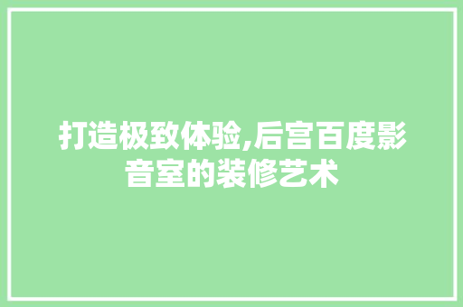 打造极致体验,后宫百度影音室的装修艺术