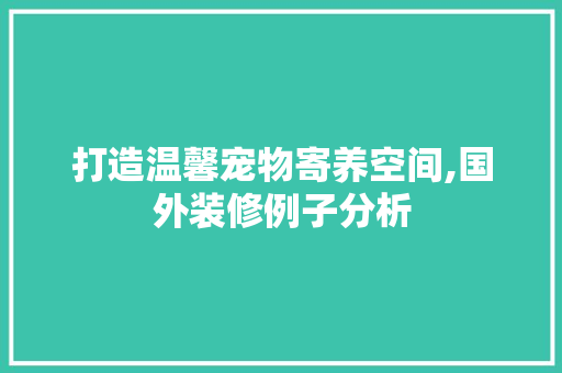 打造温馨宠物寄养空间,国外装修例子分析