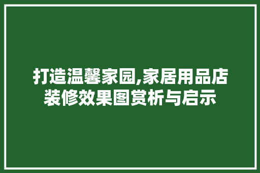 打造温馨家园,家居用品店装修效果图赏析与启示