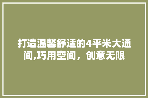 打造温馨舒适的4平米大通间,巧用空间，创意无限