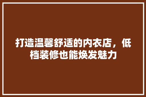 打造温馨舒适的内衣店，低档装修也能焕发魅力