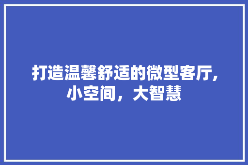 打造温馨舒适的微型客厅,小空间，大智慧