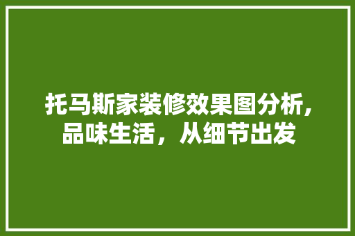 托马斯家装修效果图分析,品味生活，从细节出发