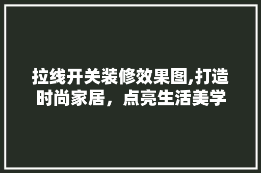 拉线开关装修效果图,打造时尚家居，点亮生活美学