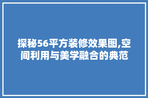 探秘56平方装修效果图,空间利用与美学融合的典范