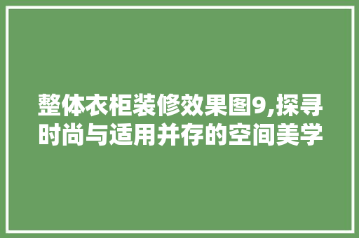 整体衣柜装修效果图9,探寻时尚与适用并存的空间美学