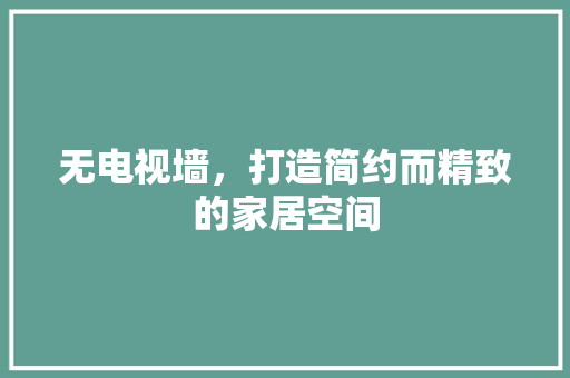 无电视墙，打造简约而精致的家居空间