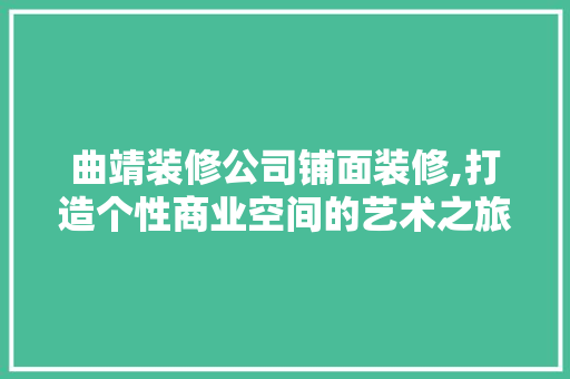 曲靖装修公司铺面装修,打造个性商业空间的艺术之旅