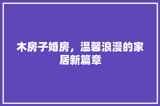 木房子婚房，温馨浪漫的家居新篇章