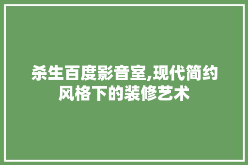 杀生百度影音室,现代简约风格下的装修艺术