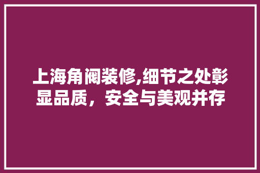 上海角阀装修,细节之处彰显品质，安全与美观并存
