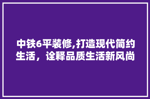 中铁6平装修,打造现代简约生活，诠释品质生活新风尚