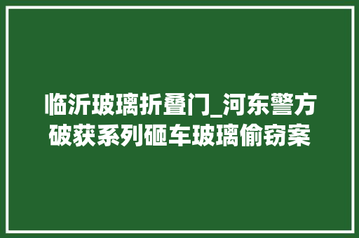 临沂玻璃折叠门_河东警方破获系列砸车玻璃偷窃案