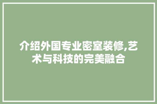 介绍外国专业密室装修,艺术与科技的完美融合