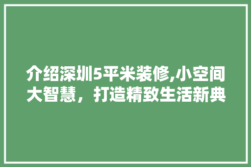 介绍深圳5平米装修,小空间大智慧，打造精致生活新典范