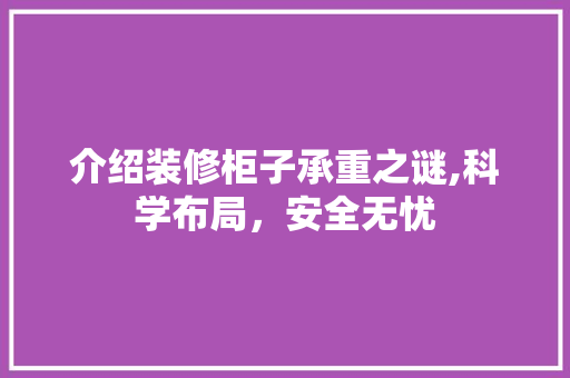 介绍装修柜子承重之谜,科学布局，安全无忧