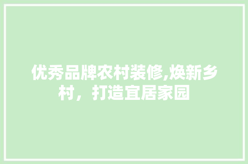 优秀品牌农村装修,焕新乡村，打造宜居家园