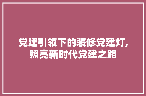 党建引领下的装修党建灯,照亮新时代党建之路