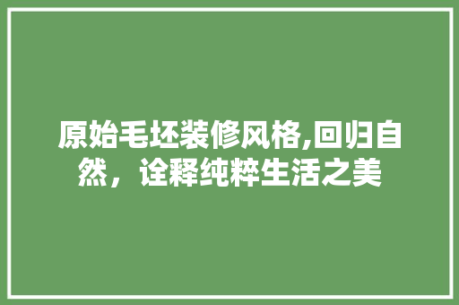原始毛坯装修风格,回归自然，诠释纯粹生活之美