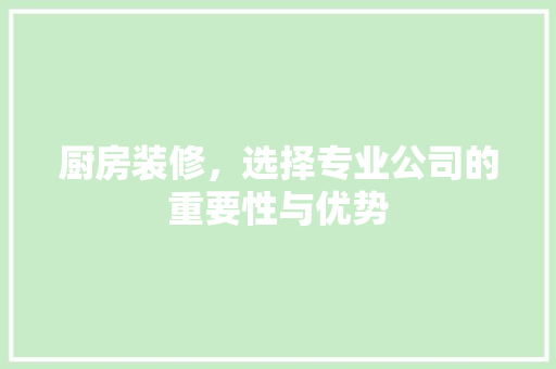 厨房装修，选择专业公司的重要性与优势