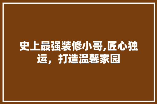 史上最强装修小哥,匠心独运，打造温馨家园