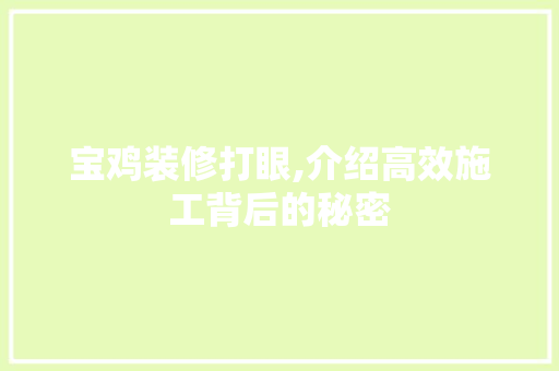宝鸡装修打眼,介绍高效施工背后的秘密