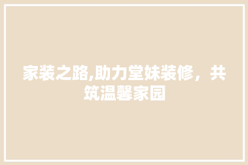 家装之路,助力堂妹装修，共筑温馨家园