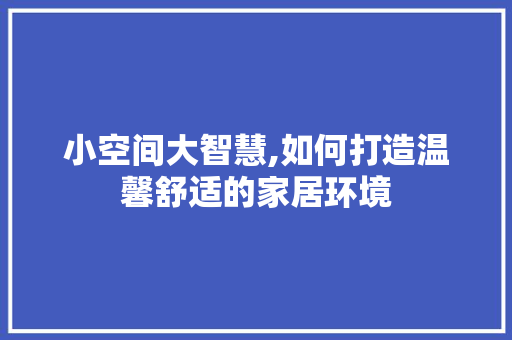 小空间大智慧,如何打造温馨舒适的家居环境