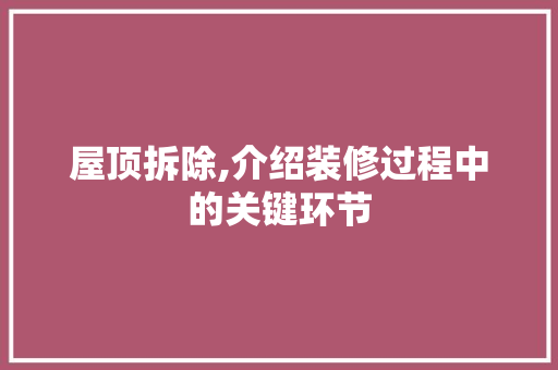 屋顶拆除,介绍装修过程中的关键环节