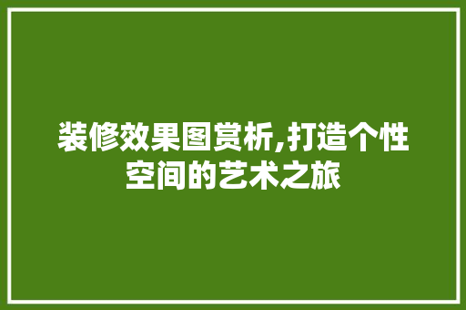装修效果图赏析,打造个性空间的艺术之旅