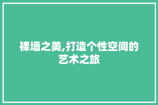 裸墙之美,打造个性空间的艺术之旅