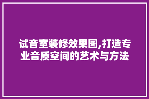 试音室装修效果图,打造专业音质空间的艺术与方法