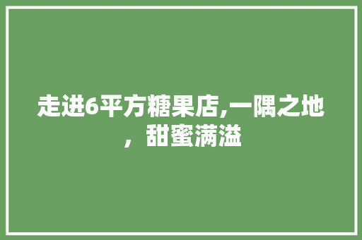 走进6平方糖果店,一隅之地，甜蜜满溢