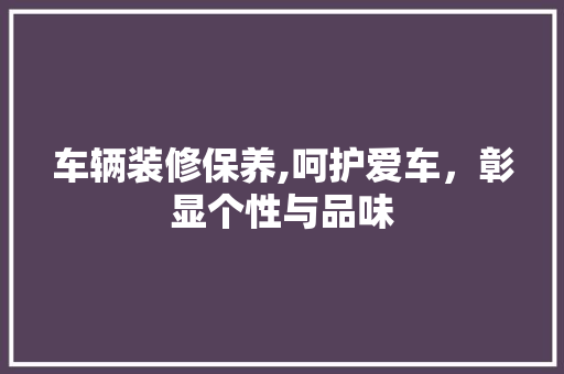 车辆装修保养,呵护爱车，彰显个性与品味