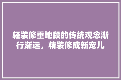 轻装修重地段的传统观念渐行渐远，精装修成新宠儿