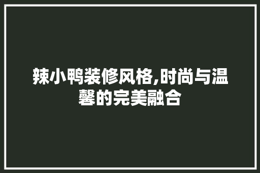 辣小鸭装修风格,时尚与温馨的完美融合