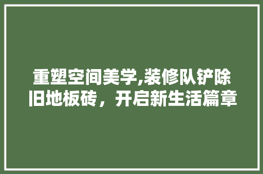 重塑空间美学,装修队铲除旧地板砖，开启新生活篇章