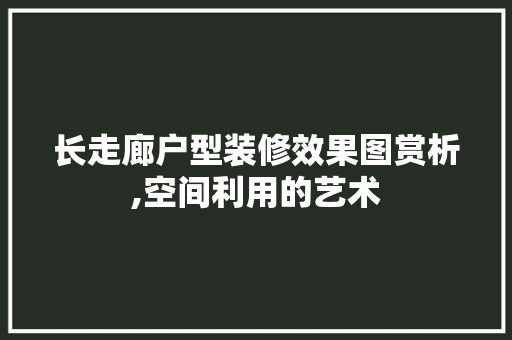 长走廊户型装修效果图赏析,空间利用的艺术