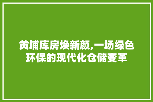 黄埔库房焕新颜,一场绿色环保的现代化仓储变革