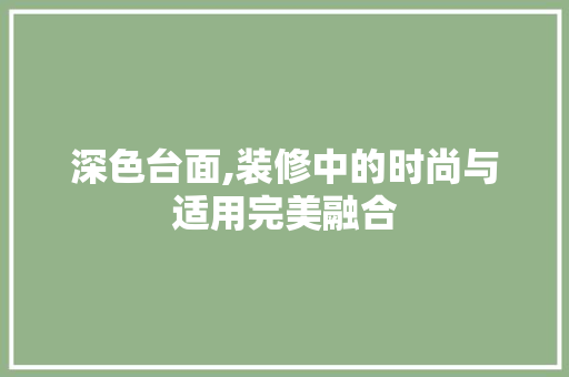 深色台面,装修中的时尚与适用完美融合