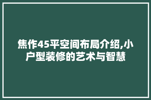 焦作45平空间布局介绍,小户型装修的艺术与智慧