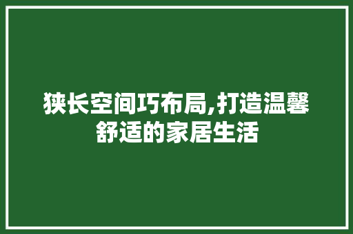 狭长空间巧布局,打造温馨舒适的家居生活