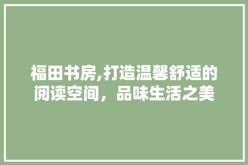 福田书房,打造温馨舒适的阅读空间，品味生活之美