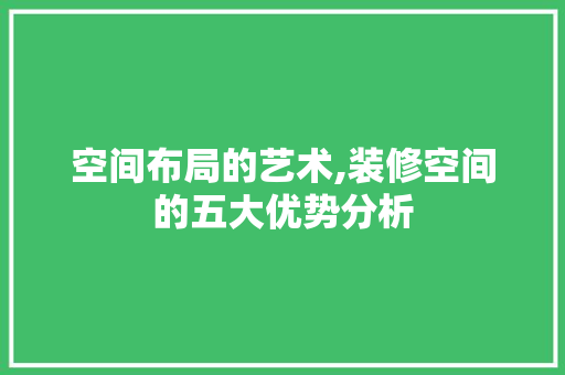 空间布局的艺术,装修空间的五大优势分析