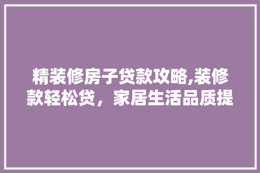 精装修房子贷款攻略,装修款轻松贷，家居生活品质提升无忧