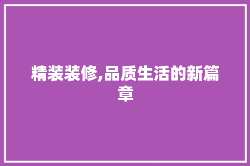 精装装修,品质生活的新篇章