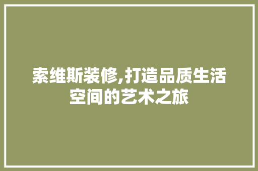 索维斯装修,打造品质生活空间的艺术之旅