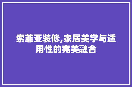 索菲亚装修,家居美学与适用性的完美融合